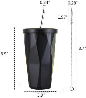Stainless Steel Double Walled Tumbler with Straw