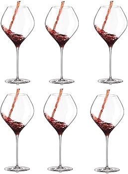 Rona Swan Burgundy 860 ML (Pack of 6)
