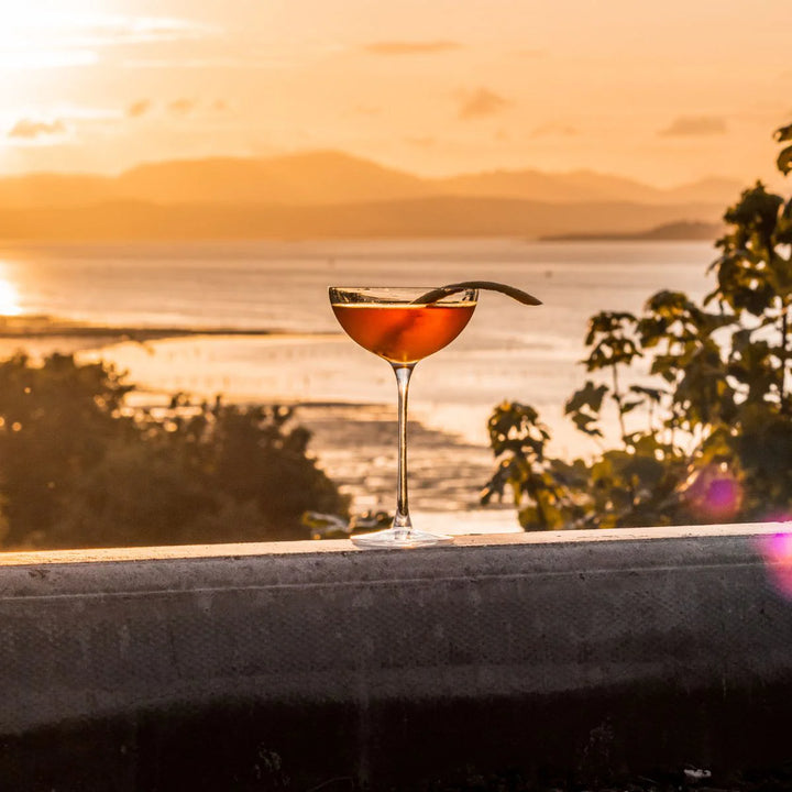 Japanese Crystal Coupe Glass 310 ML (Set of 6)