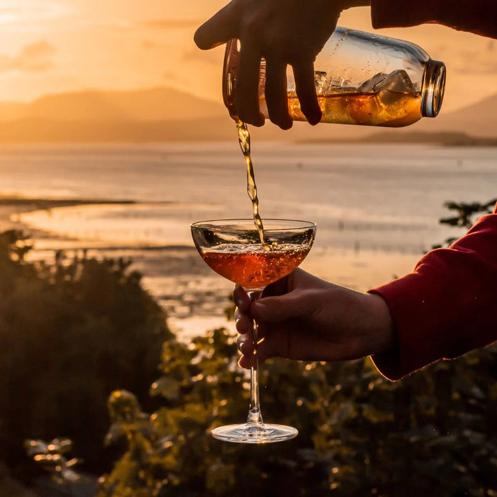 Japanese Crystal Coupe Glass 310 ML (Set of 6)