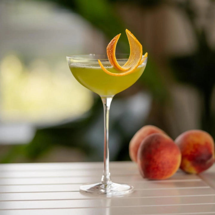 Japanese Crystal Coupe Glass 310 ML (Set of 6)