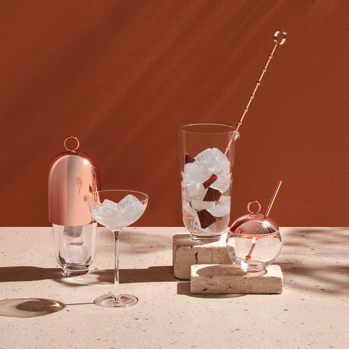 Japanese Crystal Coupe Glass 310 ML (Set of 6)