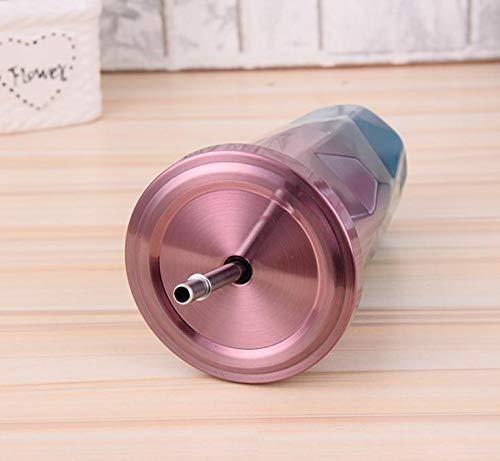 Stainless Steel Double Walled Tumbler with Straw